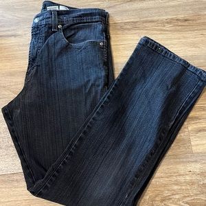 🔵Women’s jeans. Brand- Point Zero. Size 33 L 32